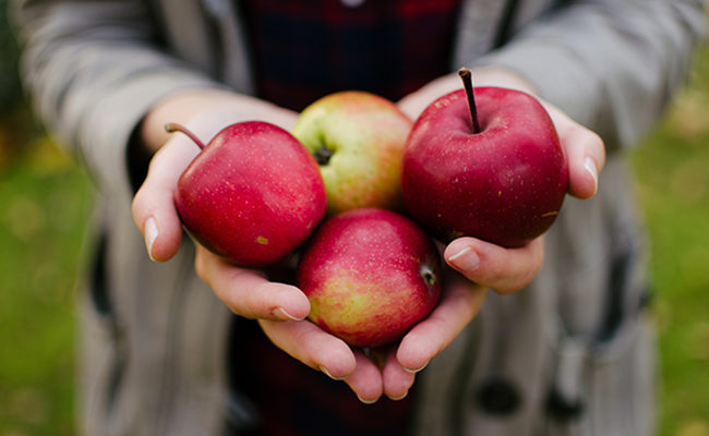 apples doctor well-being gallup
