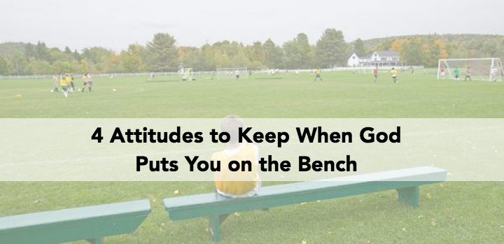 on the bench