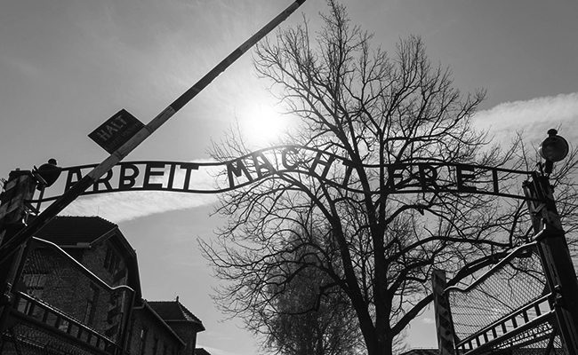 Auschwitz gate Holocaust research millennial