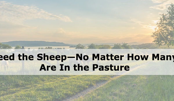 Feed the Sheep—No Matter How Many Are In the Pasture