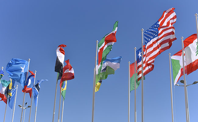 flags international foreign born neighbor