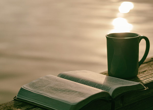 7 Tips for Reading Through the Bible This Year