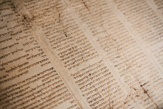 Torah in Hebrew - trust the Bible