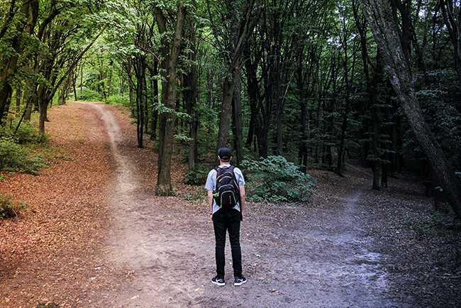 decision-making - man standing in woods with two paths in front of him