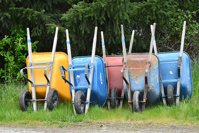assorted-color wheelbarrows in grass - serving others