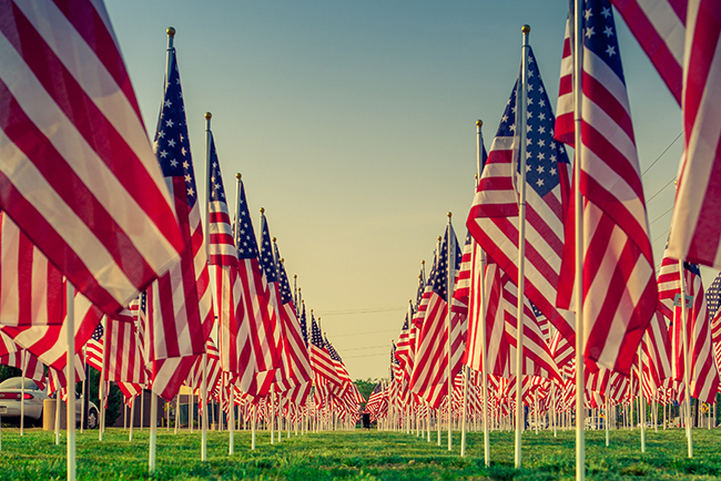 field of flags to honor veterans