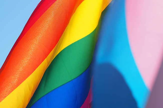 Rainbow flag - same-sex marriage