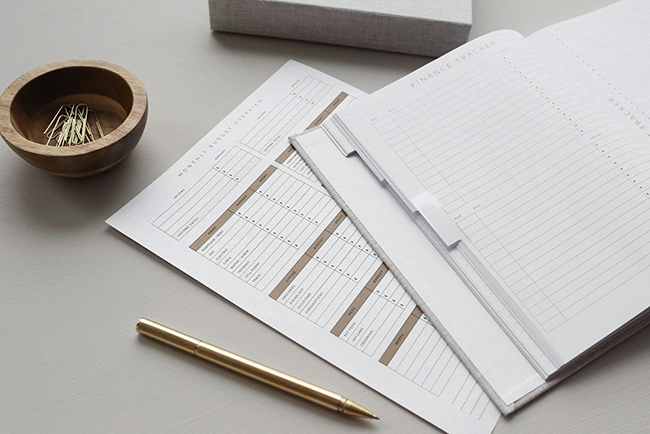 Budget paperwork laid out on desk - financial health